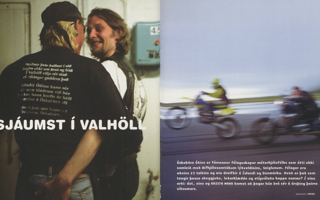 Sjáumst í Valhöll   (2003)